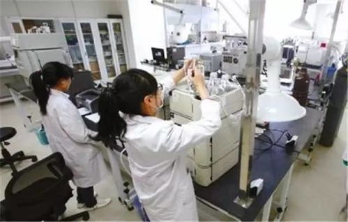 守正創(chuàng)新 以生物化工技術(shù)研發(fā)驅(qū)動(dòng)中藥現(xiàn)代化發(fā)展